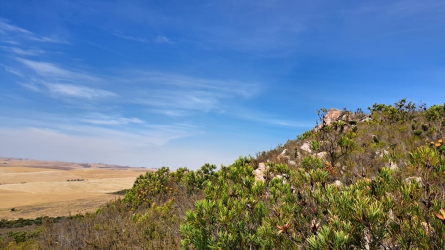 0 Bedroom Property for Sale in Caledon Rural Western Cape